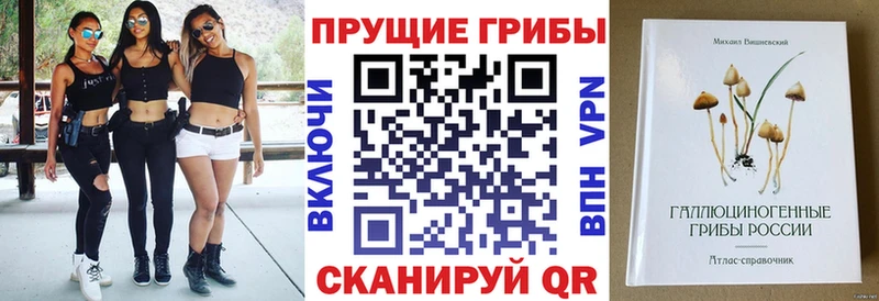 Галлюциногенные грибы MAGIC MUSHROOMS  Купить  Волжский 